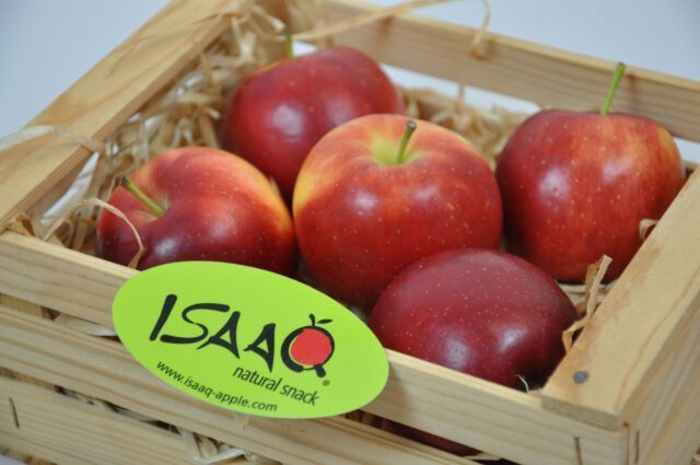 Isaaq-galerie-21