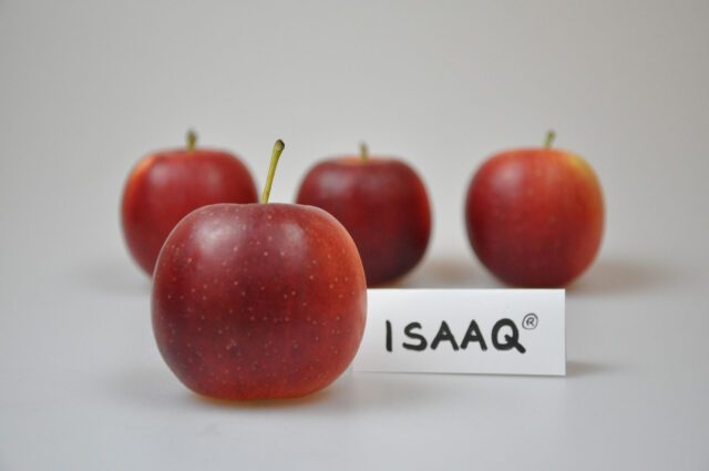 Isaaq-galerie-22